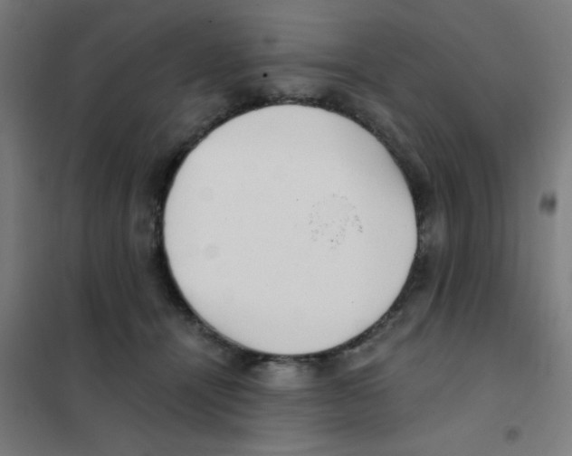 X0000101430464200808041155