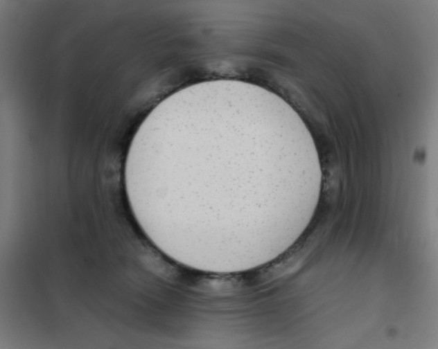 X0000101430466200808041155