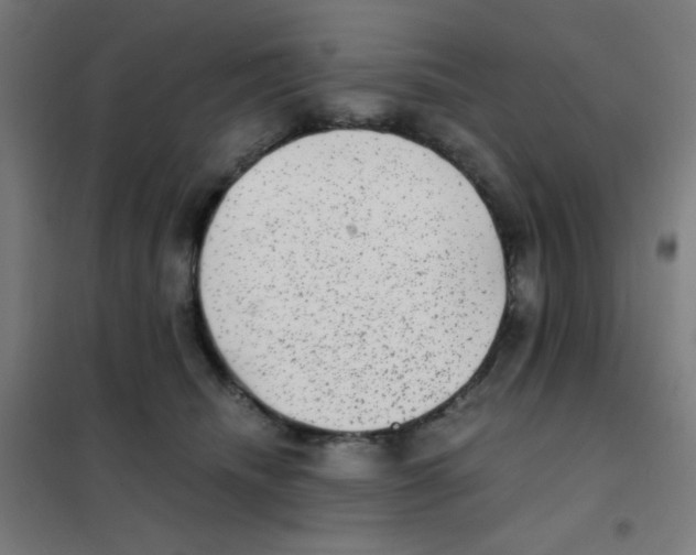 X0000101430468200808041155