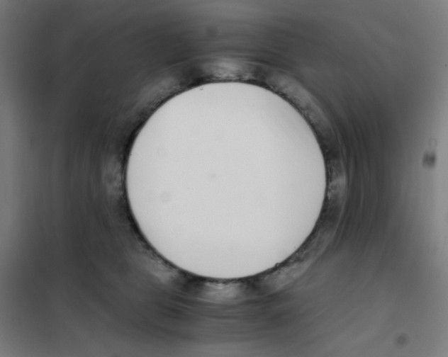 X0000101430469200808041155