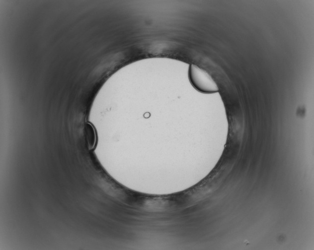 X0000101430470200808041155