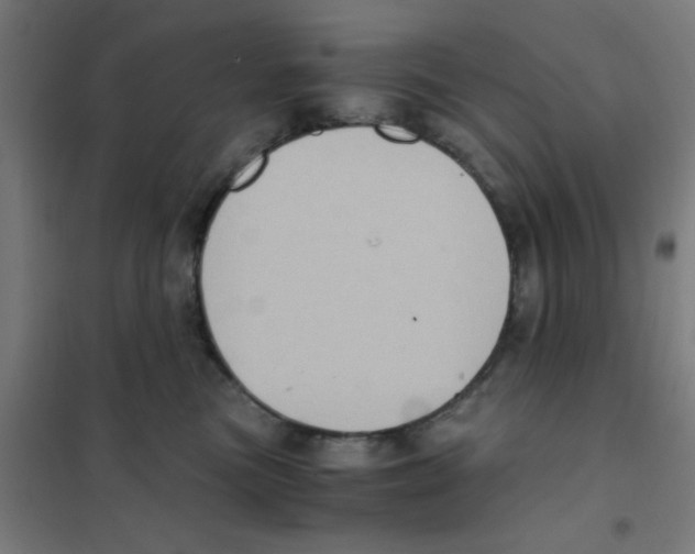 X0000101430473200808041155