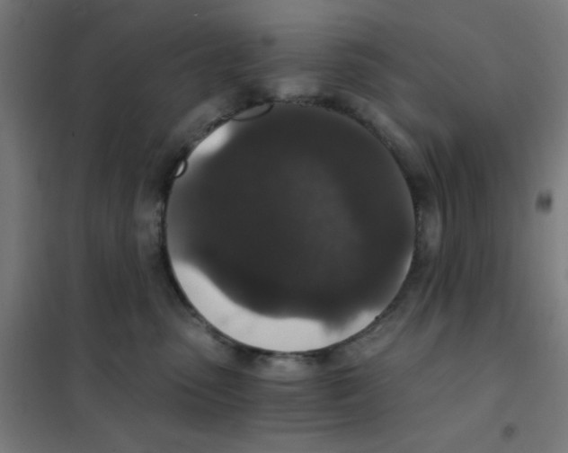 X0000101430475200808041155