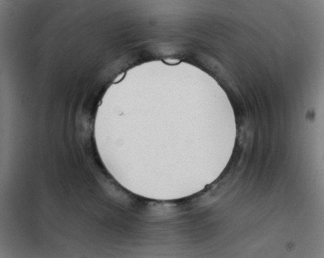 X0000101430476200808041155