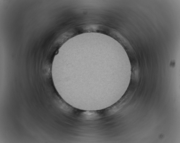 X0000101430477200808041155