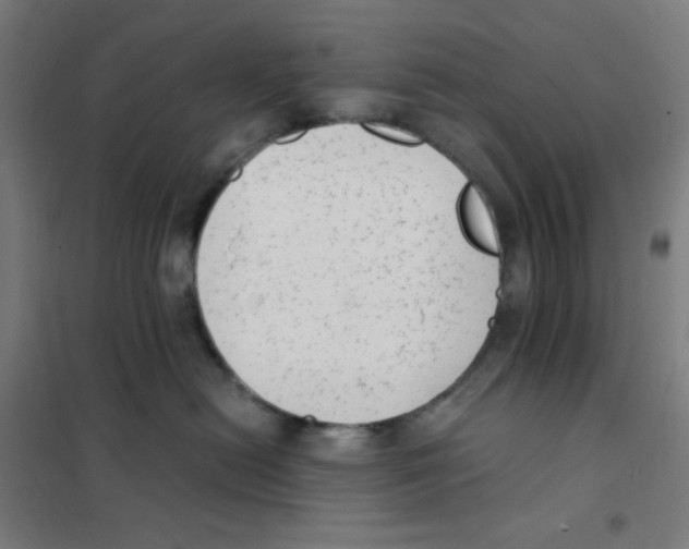 X0000101430478200808041155