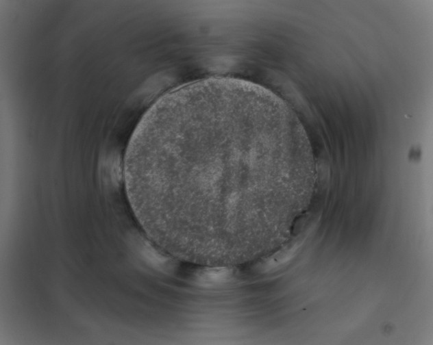 X0000101430479200808041155