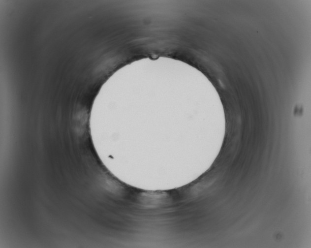 X0000101430480200808041155