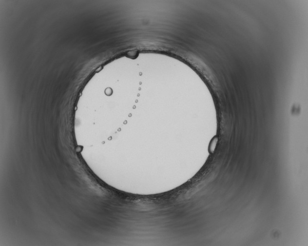 X0000101430481200808041155