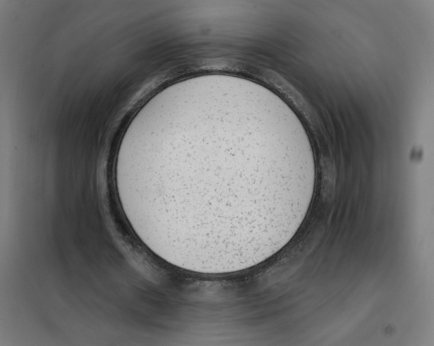 X0000101430482200808041155