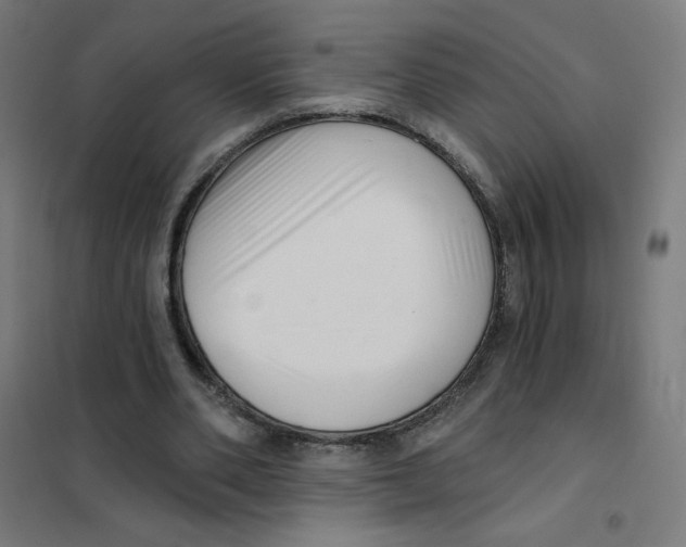 X0000101430486200808041154