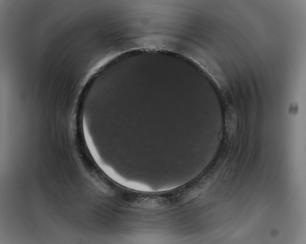 X0000101430488200808041154