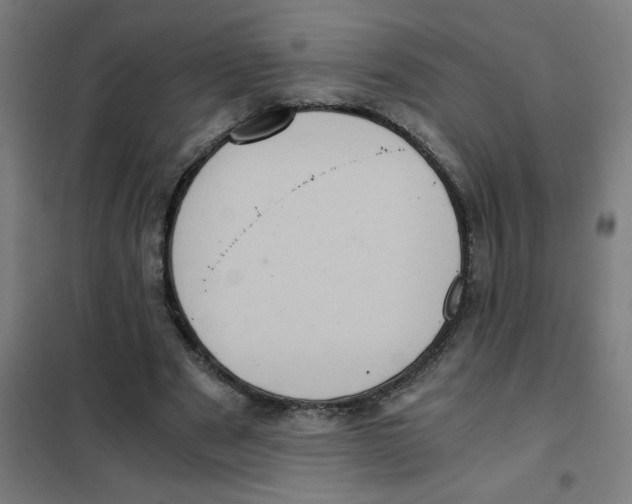 X0000101430489200808041154