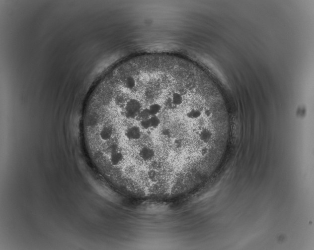 X0000101430491200808041154