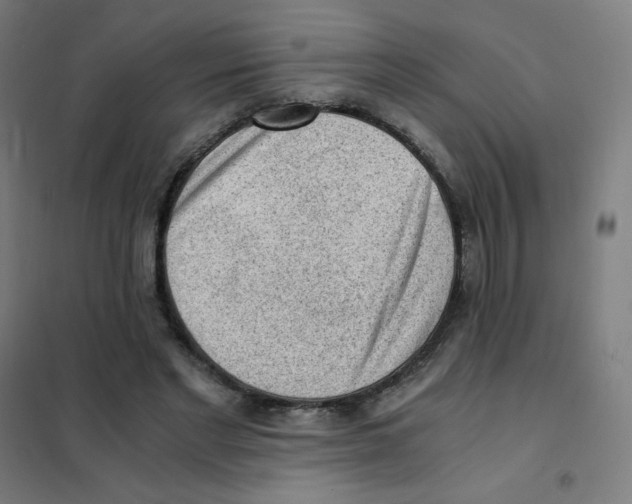 X0000101430493200808041154