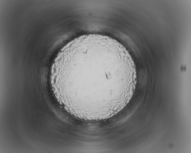 X0000101430495200808041154