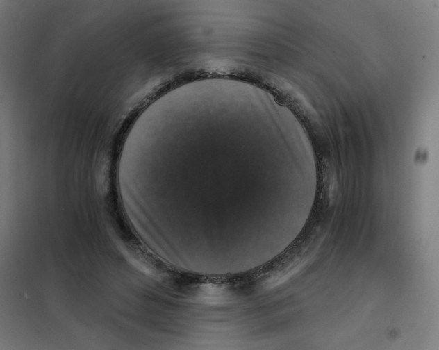 X0000101430496200808041154