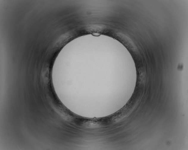 X0000101430498200808041154