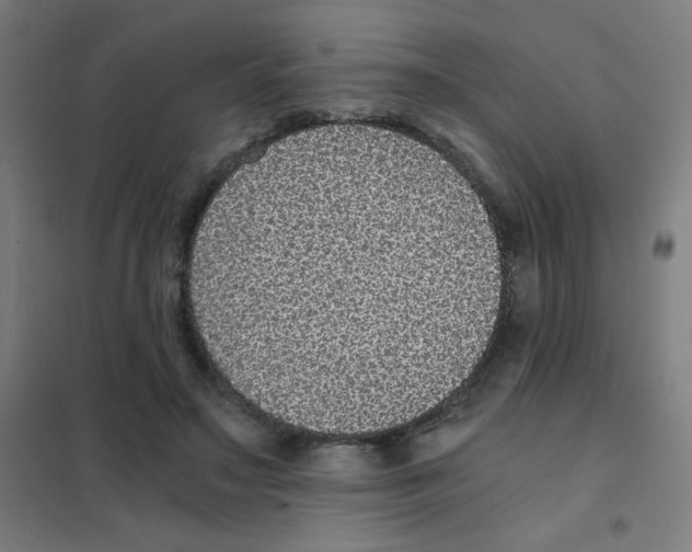 X0000101430499200808041154