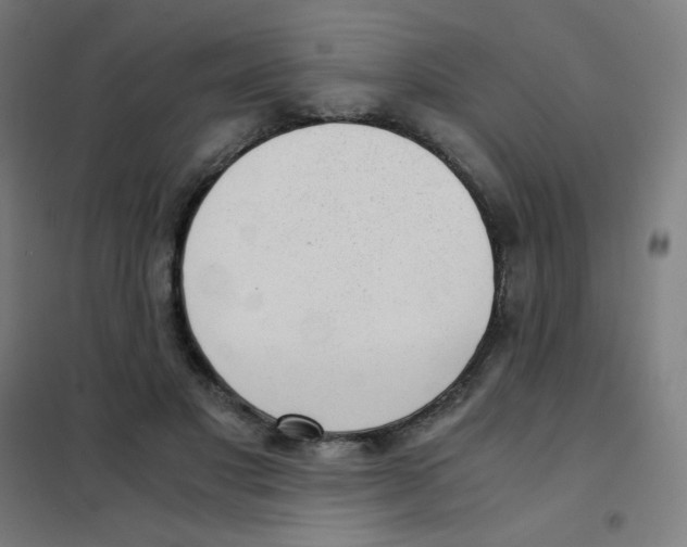 X0000101430501200808041154