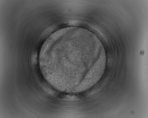 X0000101430502200808041154