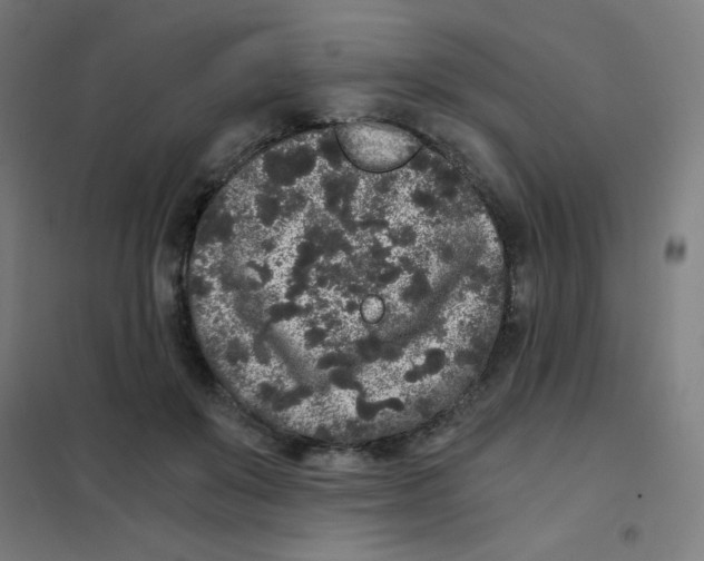 X0000101430503200808041154