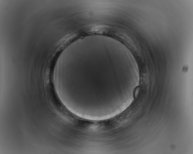 X0000101430504200808041154