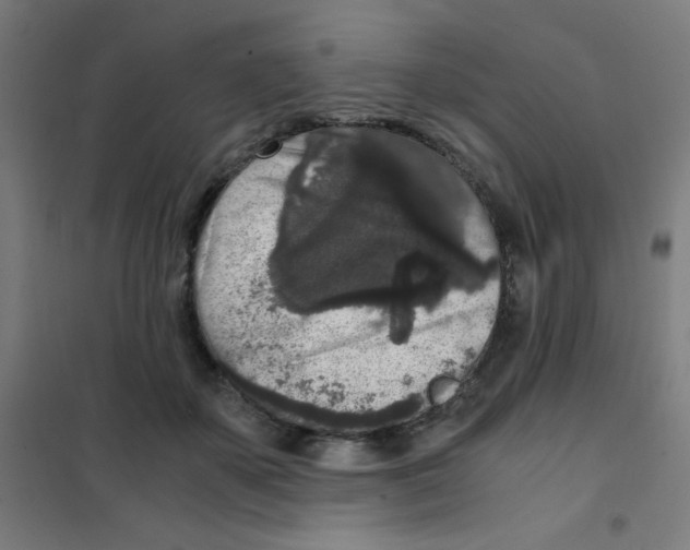 X0000101430507200808041154