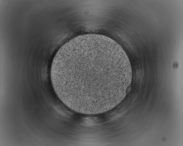 X0000101430508200808041154