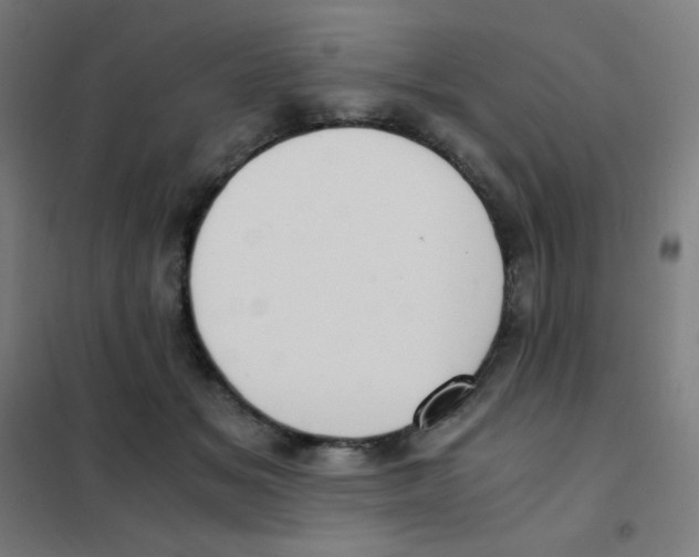 X0000101430509200808041154