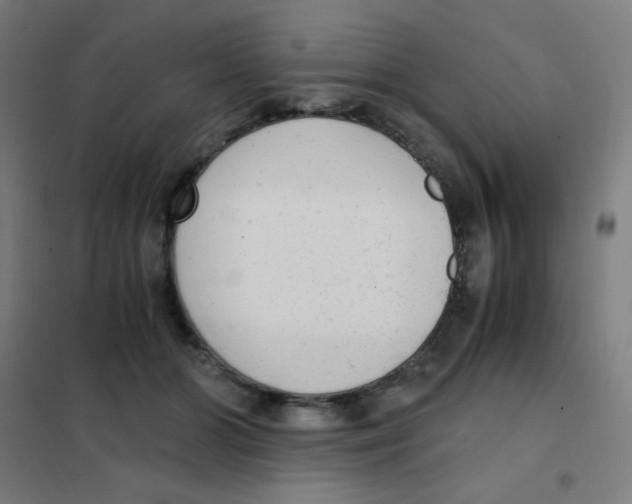 X0000101430510200808041154