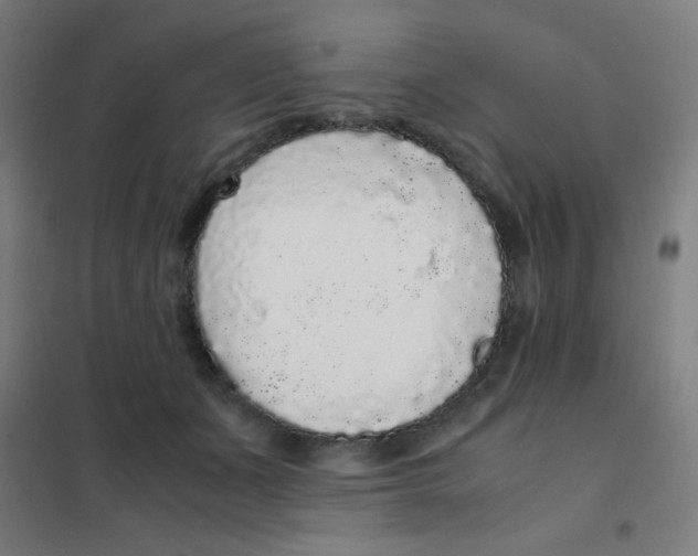 X0000101430511200808041154