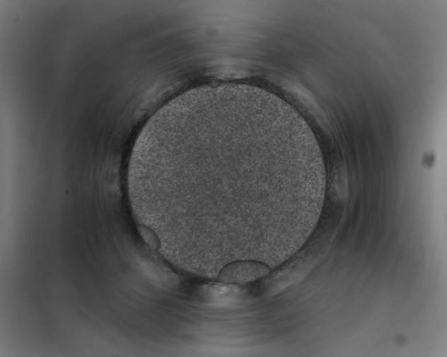 X0000101430512200808041154