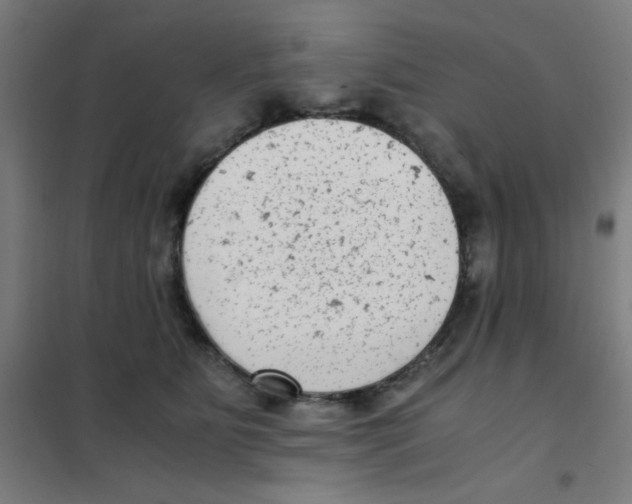 X0000101430515200808041154