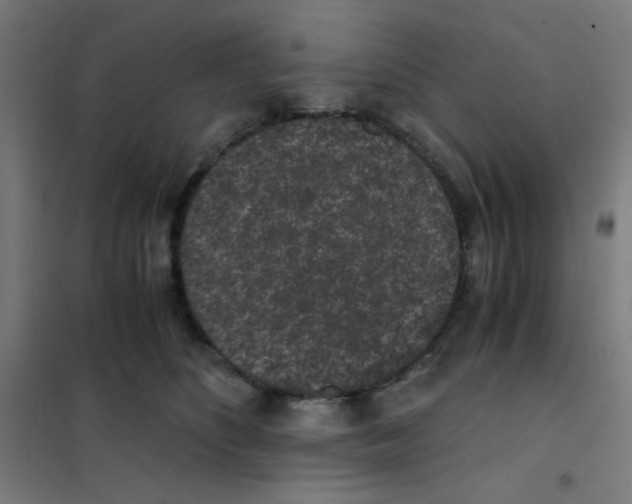 X0000101430516200808041154