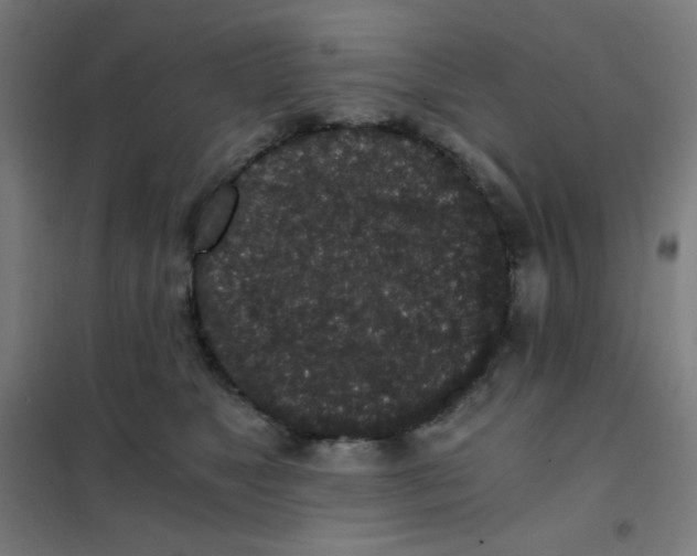 X0000101430517200808041154