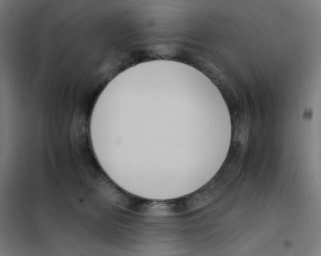 X0000101430518200808041154