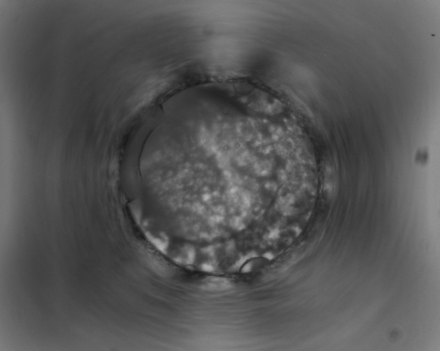 X0000101430519200808041154