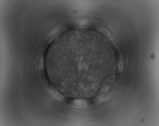 X0000101430520200808041154