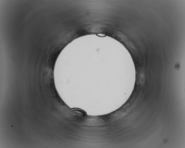 X0000101430521200808041154