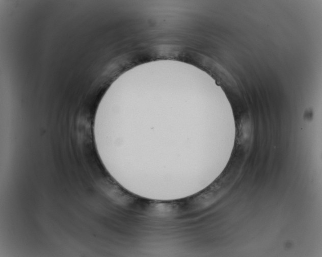 X0000101430522200808041154