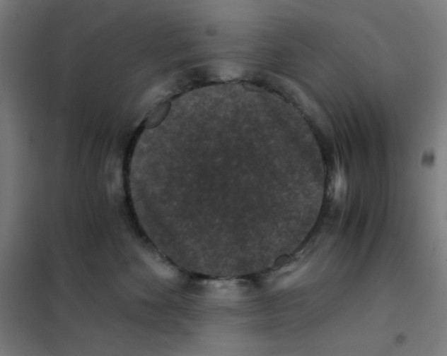 X0000101430524200808041154