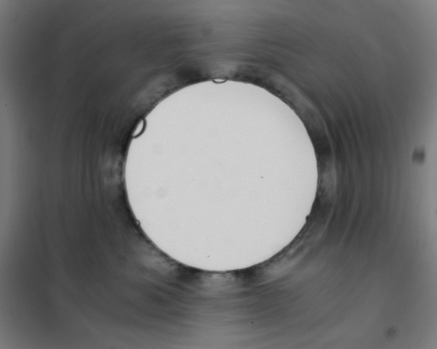 X0000101430525200808041154