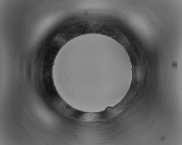 X0000101430526200808041154