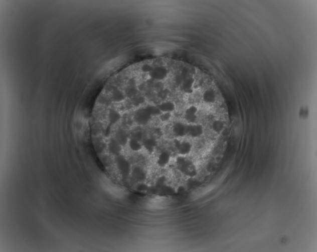 X0000101430527200808041154