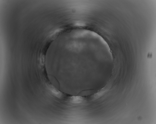 X0000101430528200808041154