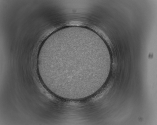 X0000101430529200808041153