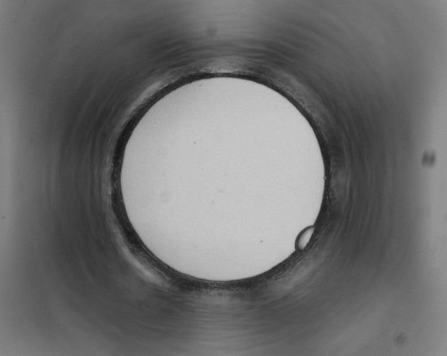 X0000101430530200808041153