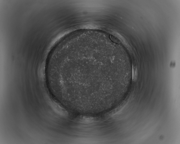 X0000101430531200808041153