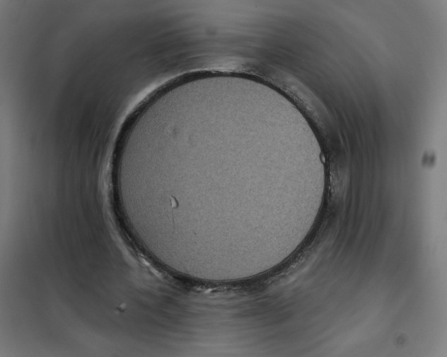 X0000101430532200808041153